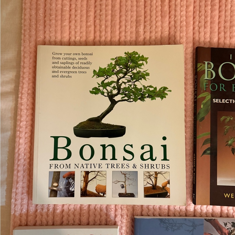 Lot of 5 Bonsai Growing books Good condition beginner gardener tree art - Picture 2 of 5